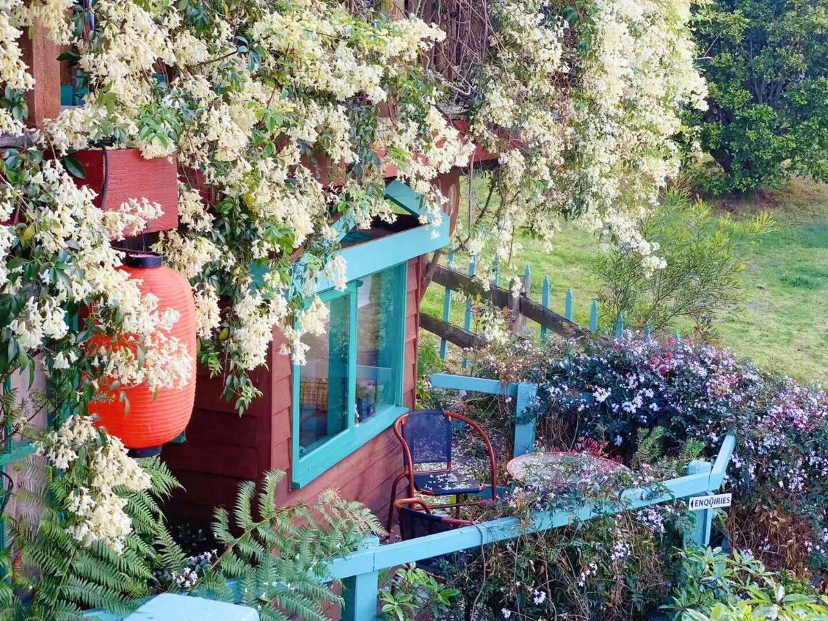 ليكس إنترانس The Goat And Goose Bed & Breakfast المظهر الخارجي الصورة